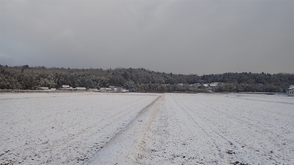 f:id:ssskypark:20190210190653j:image