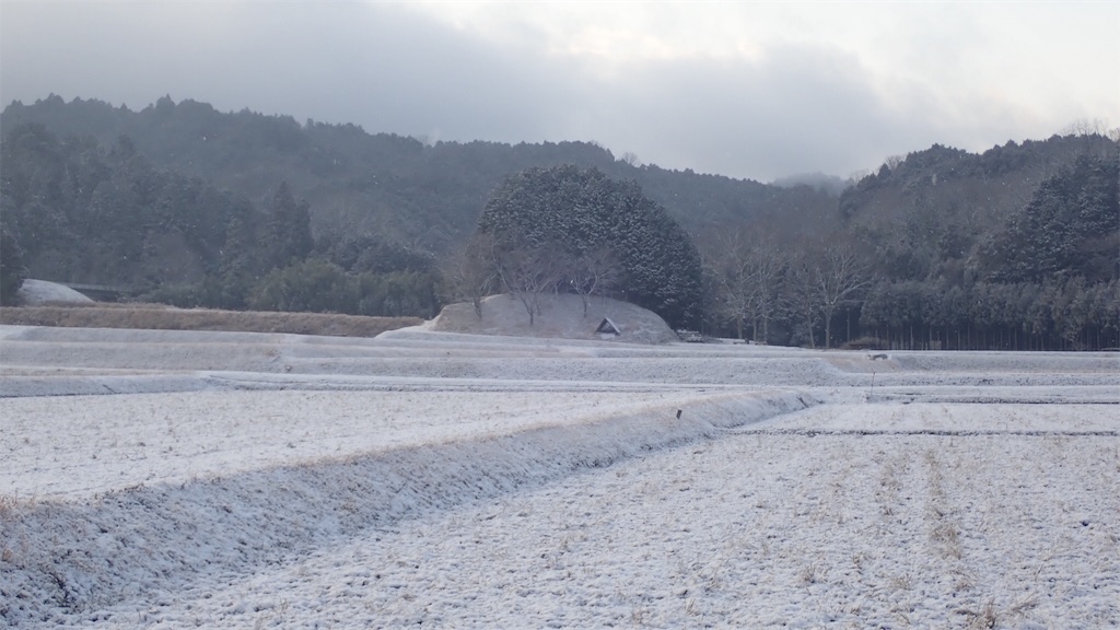 f:id:ssskypark:20190210190735j:image