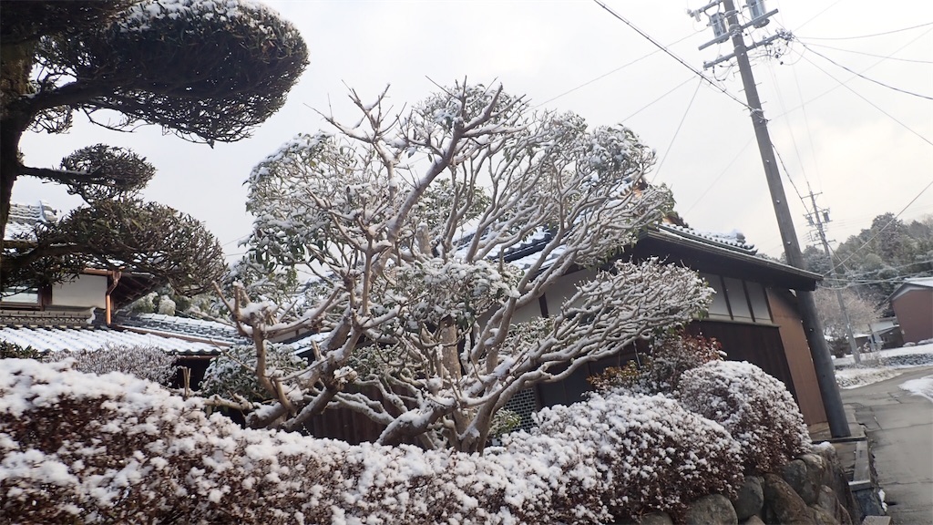 f:id:ssskypark:20190210190812j:image