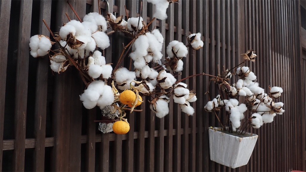 f:id:ssskypark:20190211133629j:image