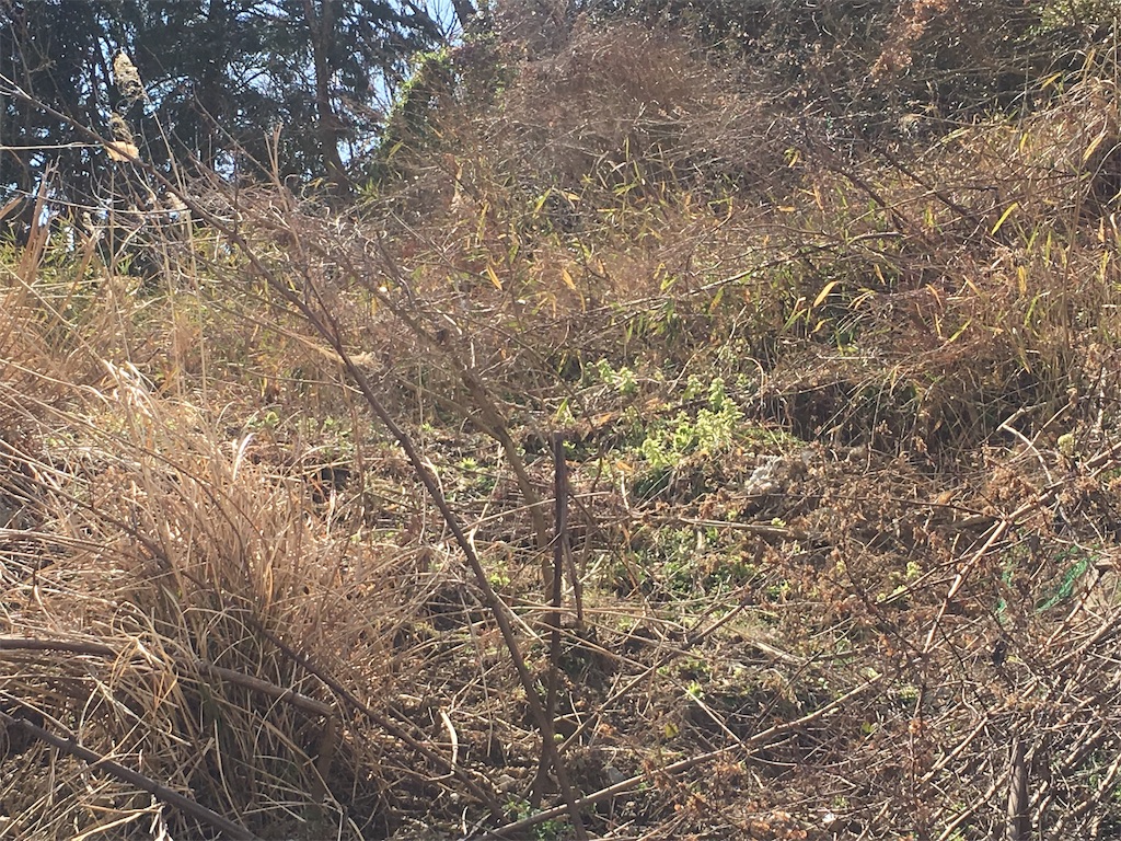f:id:ssskypark:20190313201122j:image