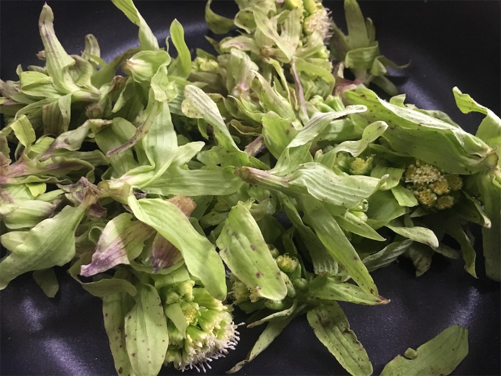 f:id:ssskypark:20190313201200j:image