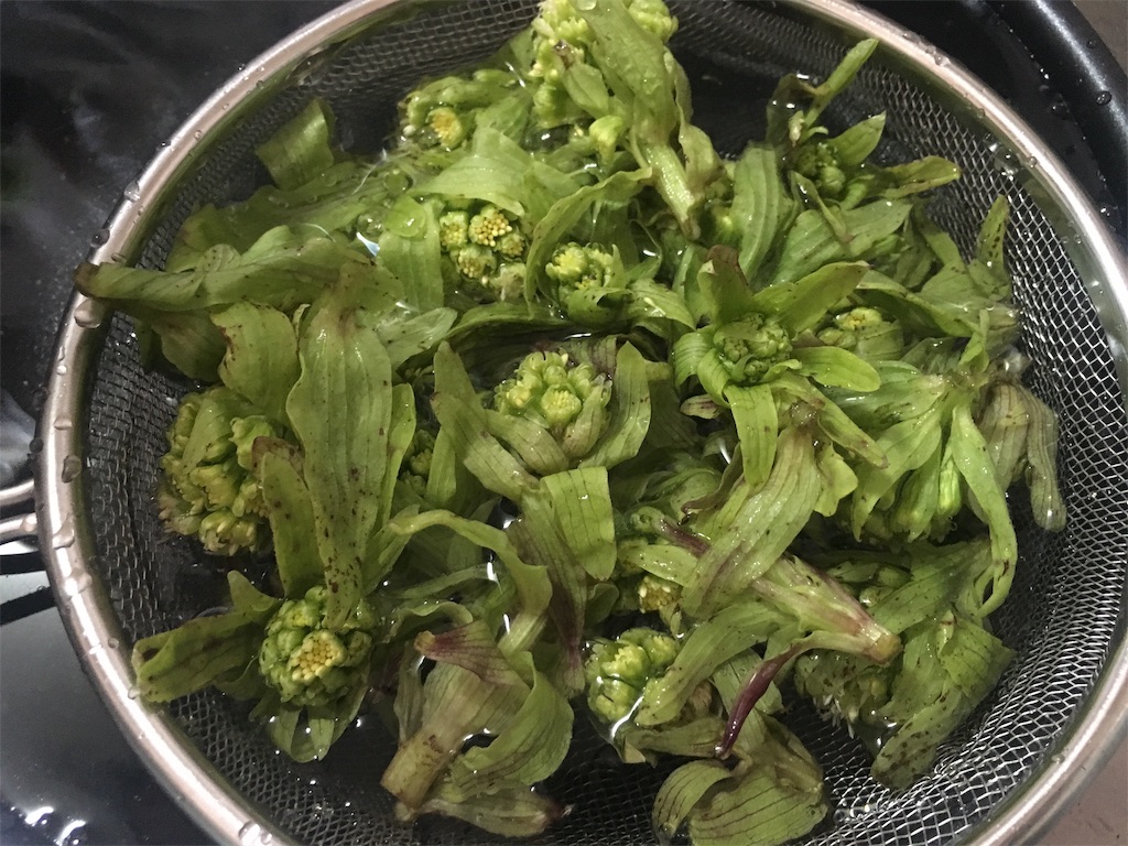 f:id:ssskypark:20190313201226j:image