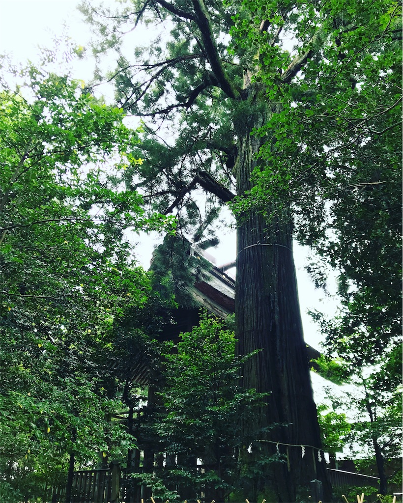 f:id:sssss333:20180714034541j:image f:id:sssss333:20180714034541j:image