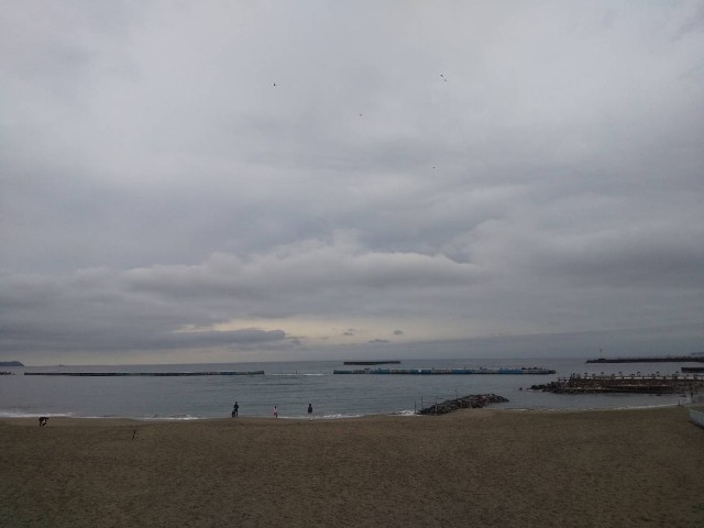 f:id:ssu-chan:20211202192935j:image f:id:ssu-chan:20211202192935j:image