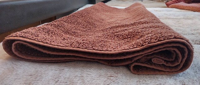 f:id:ssu-chan:20220302163909j:image