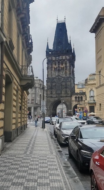 f:id:ssu-chan:20230710080739j:image f:id:ssu-chan:20230710080739j:image