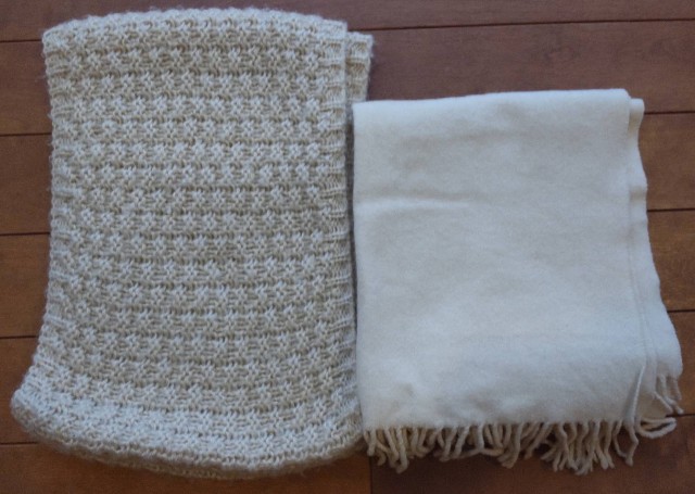 f:id:ssu-chan:20231122080518j:image