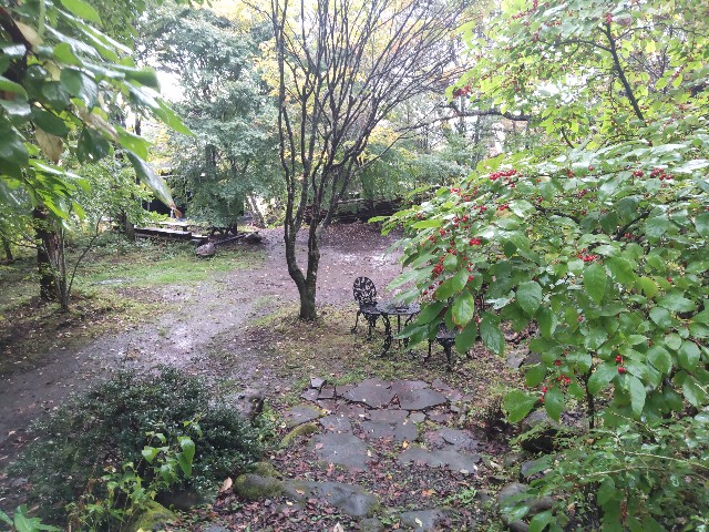 f:id:ssu-chan:20231217090228j:image