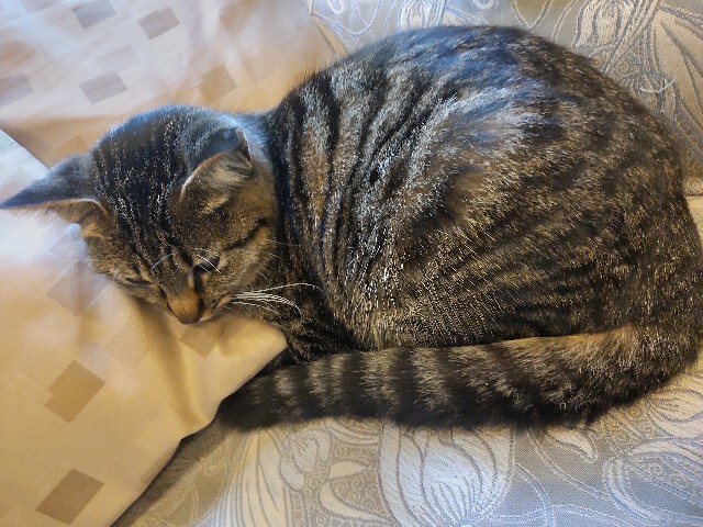 f:id:ssu-chan:20240112201029j:image f:id:ssu-chan:20240112201029j:image