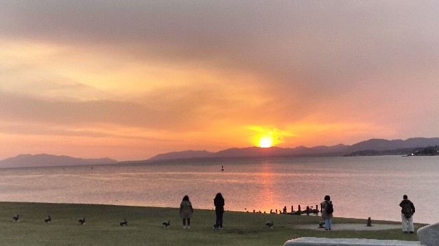 f:id:ssu-chan:20240509080700j:image