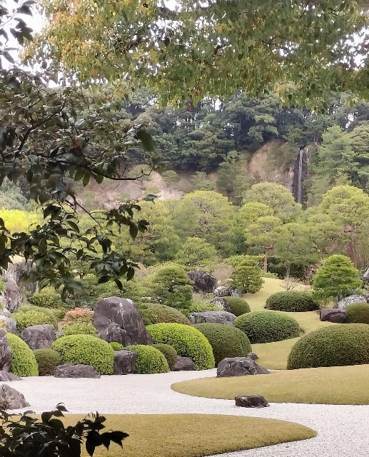 f:id:ssu-chan:20240509081050j:image