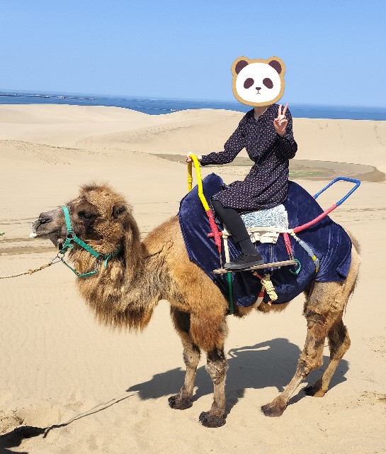 f:id:ssu-chan:20240509174415j:image