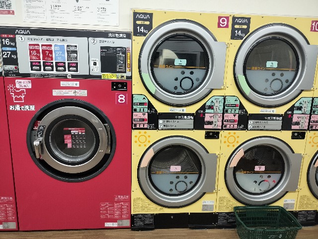 f:id:ssu-chan:20240723081115j:image