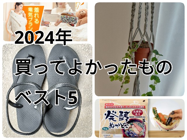 f:id:ssu-chan:20241116101956j:image f:id:ssu-chan:20241116101956j:image