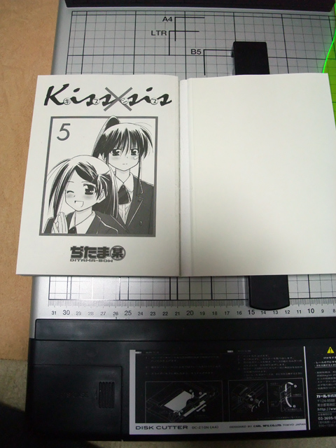 f:id:ssuenaga:20100404141421j:image