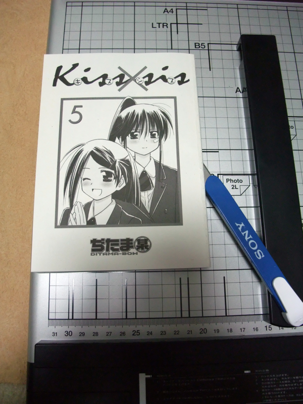f:id:ssuenaga:20100404141545j:image