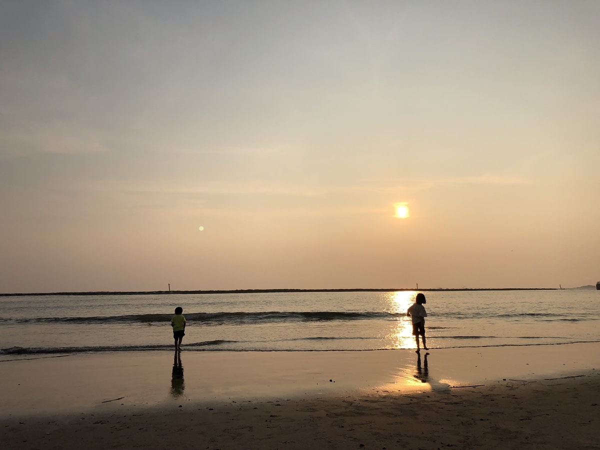 f:id:st2019ev:20200118124605j:plain