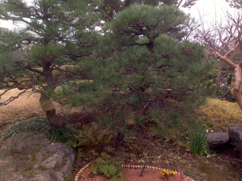 f:id:st2one:20150214011018j:plain f:id:st2one:20150214011018j:plain