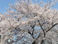 20100412133421