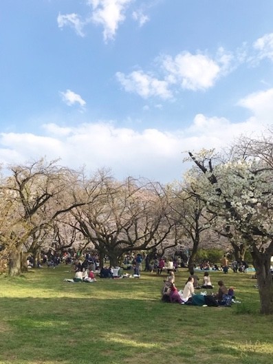 f:id:staffroom:20190405183049j:plain f:id:staffroom:20190405183049j:plain