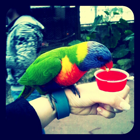 f:id:stafu:20120624191552j:image:w360 f:id:stafu:20120624191552j:image:w360