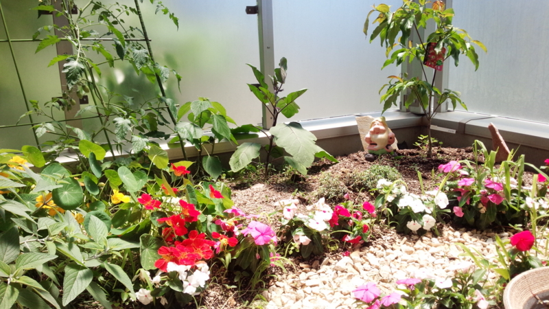 f:id:stafu:20160603120353j:image:w360