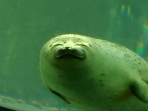 f:id:stafu:20170902124815j:image:w360 f:id:stafu:20170902124815j:image:w360