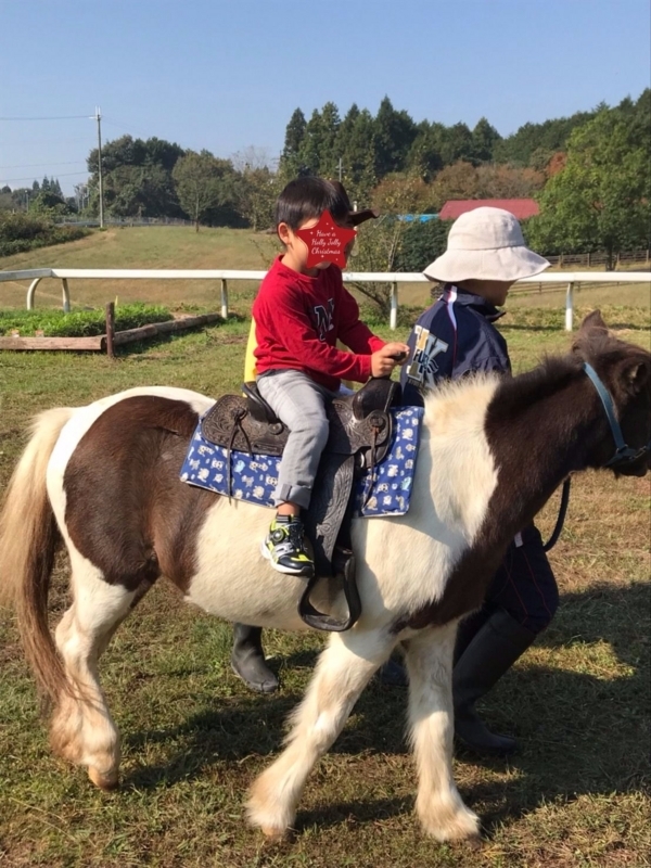 f:id:stafu:20171107094009j:image:w360 f:id:stafu:20171107094009j:image:w360