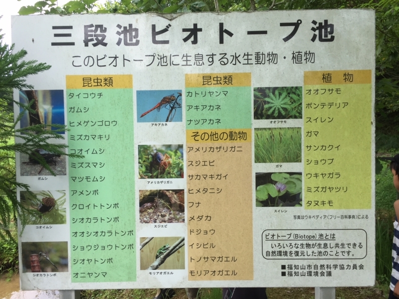 f:id:stafu:20180630134939j:image f:id:stafu:20180630134939j:image