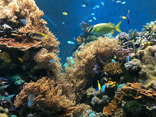 f:id:stafu:20180714002110j:image:w640 f:id:stafu:20180714002110j:image:w640