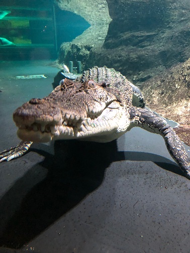 f:id:stafu:20180714002349j:image:w640 f:id:stafu:20180714002349j:image:w640