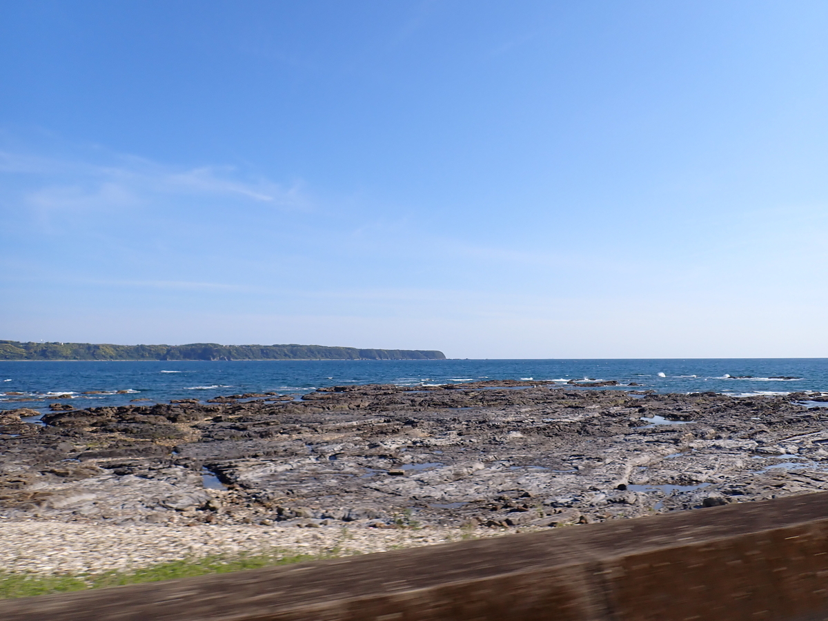 f:id:stagbeetlebeach:20200427132301j:plain