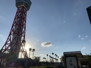 f:id:stagbeetlebeach:20210129030043j:plain