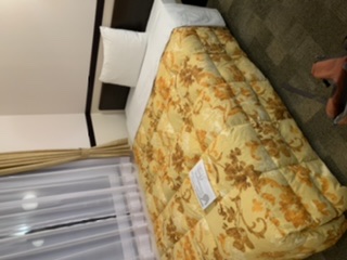 f:id:stagbeetlebeach:20210129032439j:plain