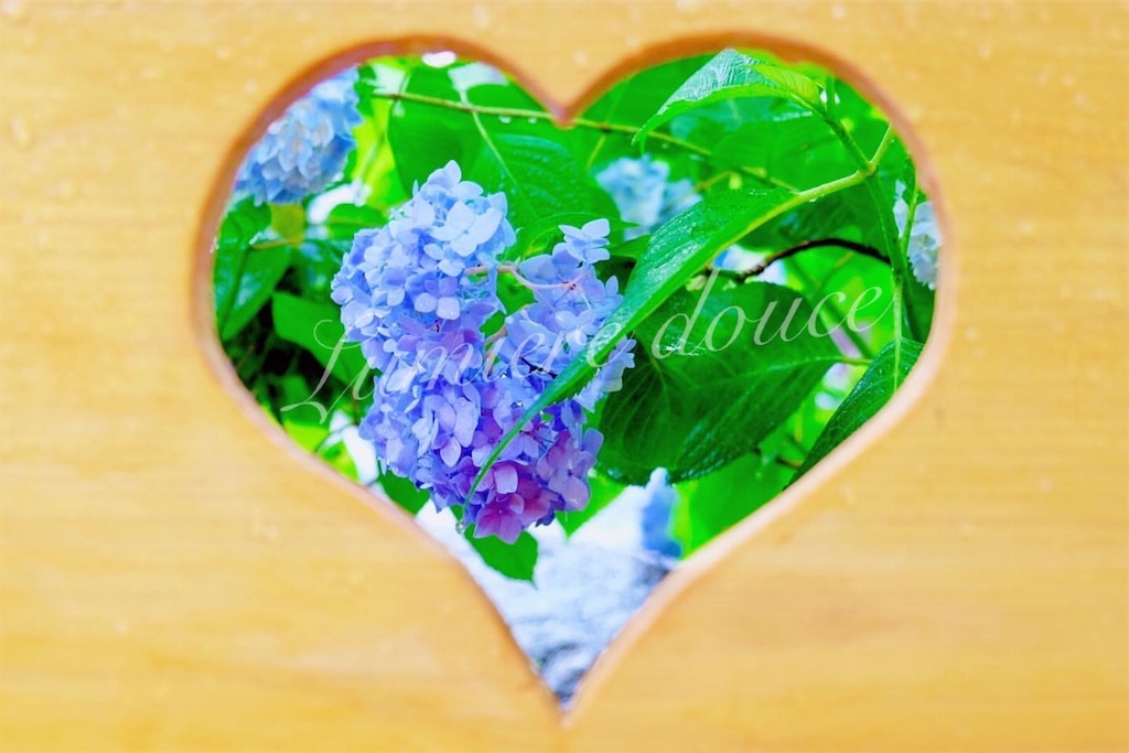 f:id:stagioNe:20200710162438j:image