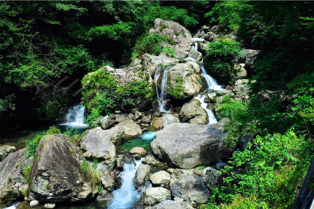 f:id:stagioNe:20200904160438j:image f:id:stagioNe:20200904160438j:image