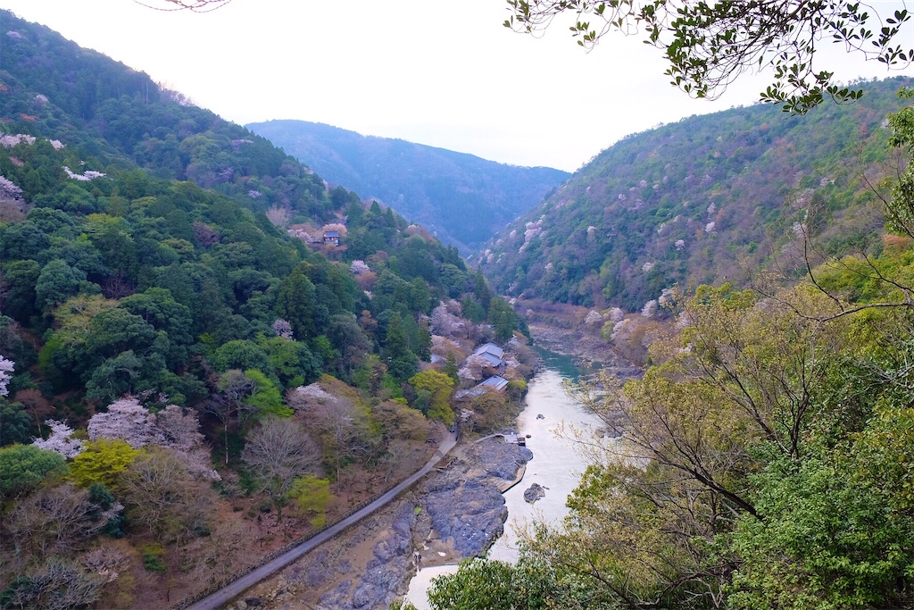 f:id:stagioNe:20210602115653j:image f:id:stagioNe:20210602115653j:image