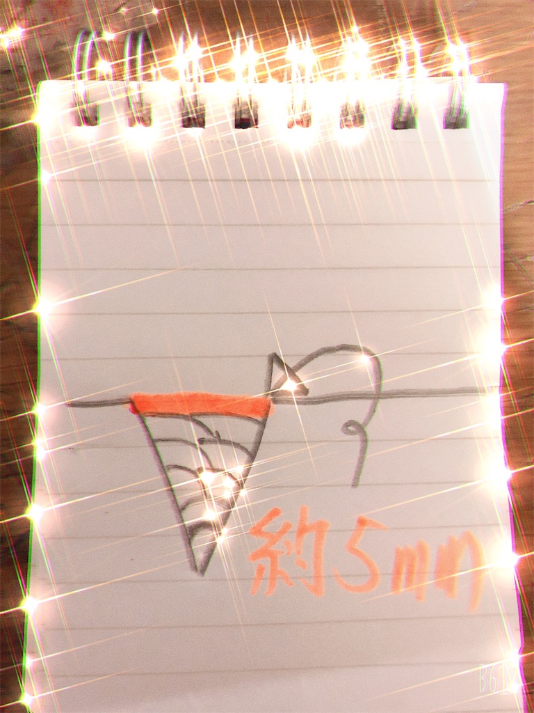 f:id:staigakun:20190912214339j:image f:id:staigakun:20190912214339j:image