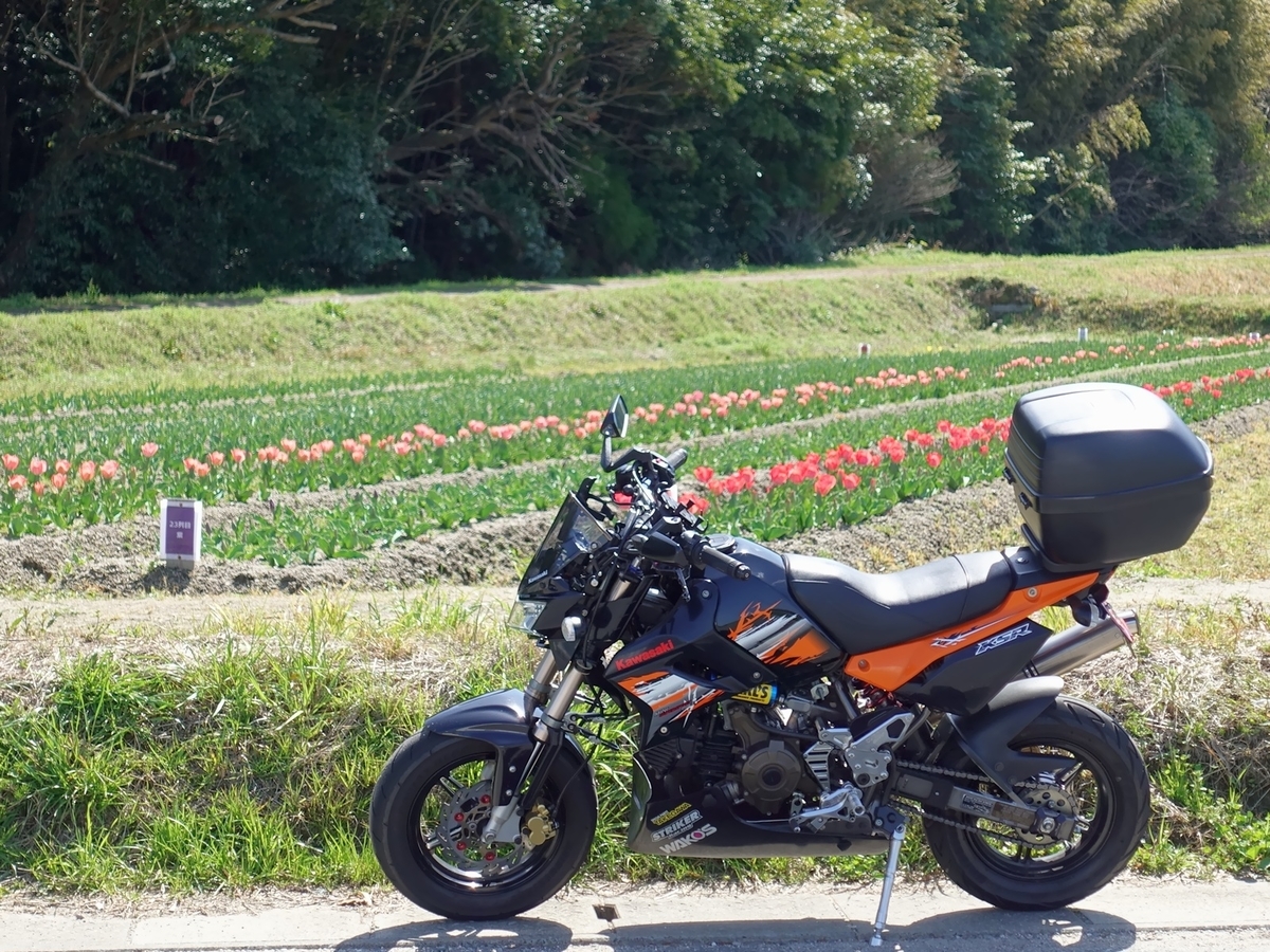 Ksr110pro ブレーキスイッチ スピードメーターケーブル 交換 I Don T Know Anything Other Than A Motorcycle