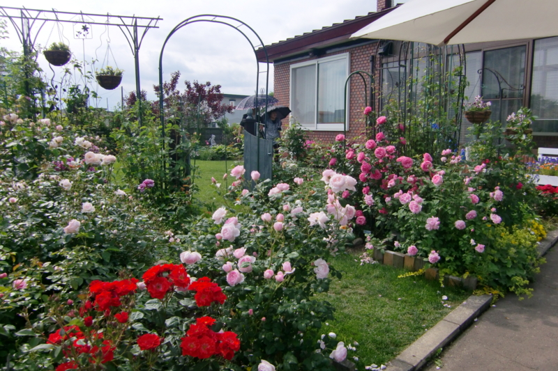 f:id:stancafe88:20080926034832j:image f:id:stancafe88:20080926034832j:image