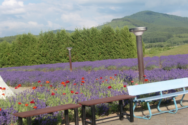 f:id:stancafe88:20081011054914j:image f:id:stancafe88:20081011054914j:image