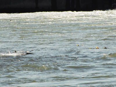 f:id:stancafe88:20110424005708j:image f:id:stancafe88:20110424005708j:image