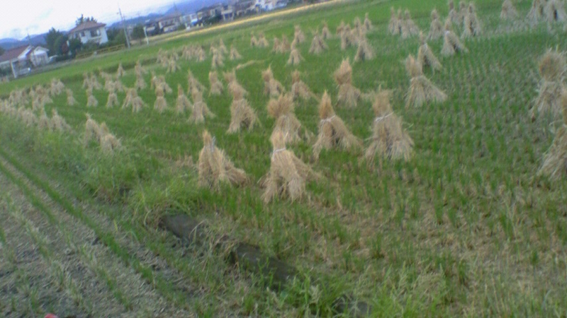 f:id:stantsiya_iriya:20121024074224j:image