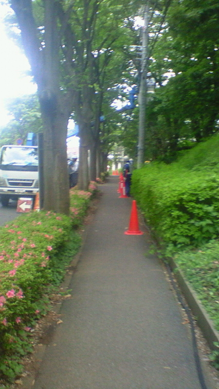 f:id:stantsiya_iriya:20150521235737j:image:left