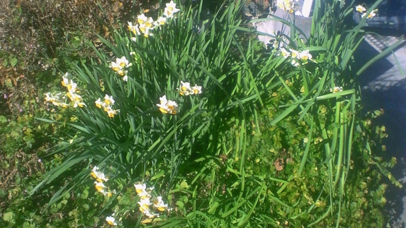 f:id:stantsiya_iriya:20161228195806j:image f:id:stantsiya_iriya:20161228195806j:image