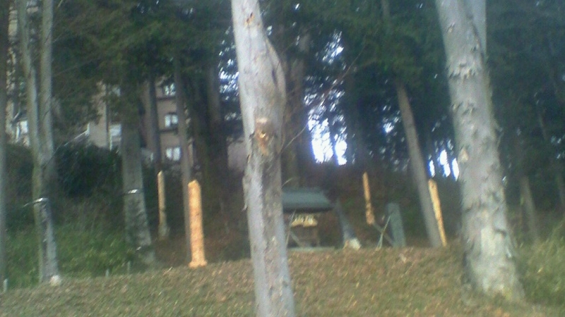 f:id:stantsiya_iriya:20170201213455j:image