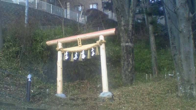 f:id:stantsiya_iriya:20170201213456j:image