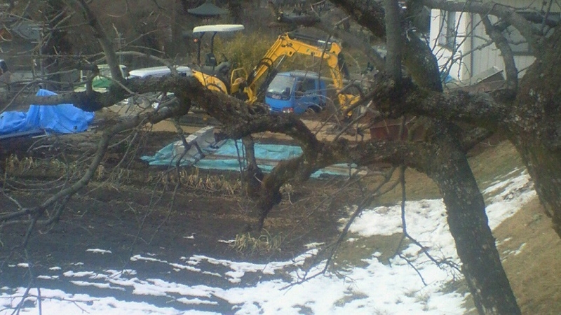 f:id:stantsiya_iriya:20170201213505j:image