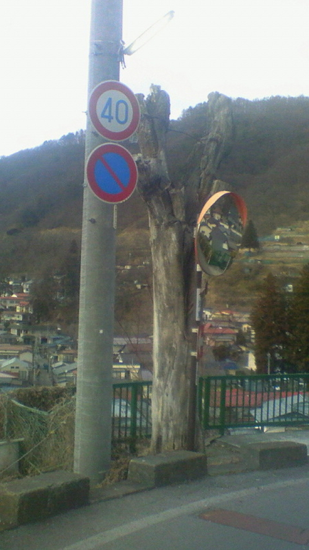 f:id:stantsiya_iriya:20170201213510j:image:left